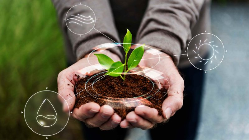 Uma mão segura uma planta em referência ao marketing verde e ESG